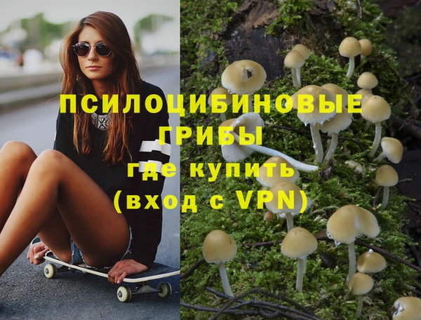 бошки Абдулино