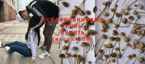 герыч Абаза