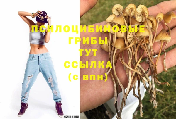 герыч Абаза