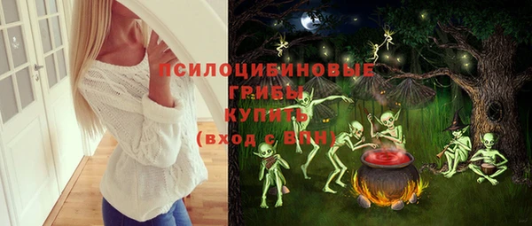 бошки Абдулино