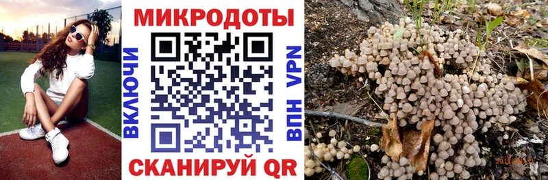 Псилоцибиновые грибы мухоморы Тетюши